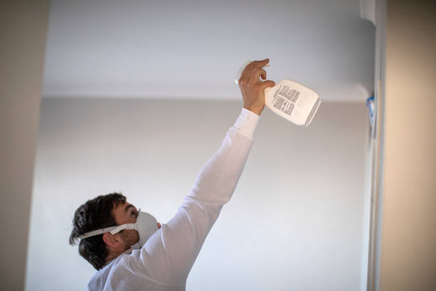Best Emergency Mold Removal  in Redwood, OR