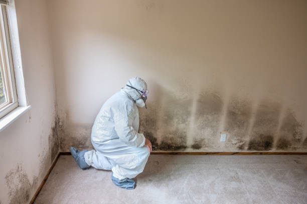 Best Mold Removal Process  in Redwood, OR
